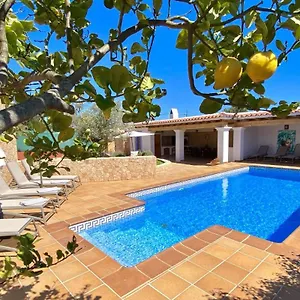  Villa Palmera Spagna