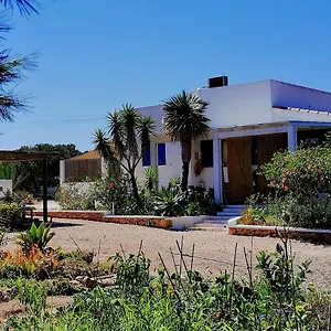  Casa vacanze Ca N'antonia Formentera Spagna