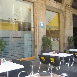 book here