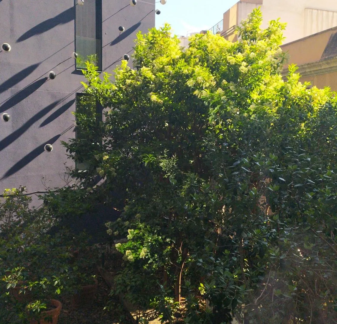 Ohla Barcelona Hotel